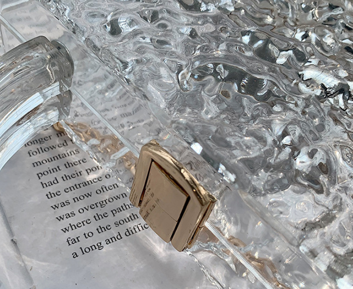 Lorelei Acrylic Handbag