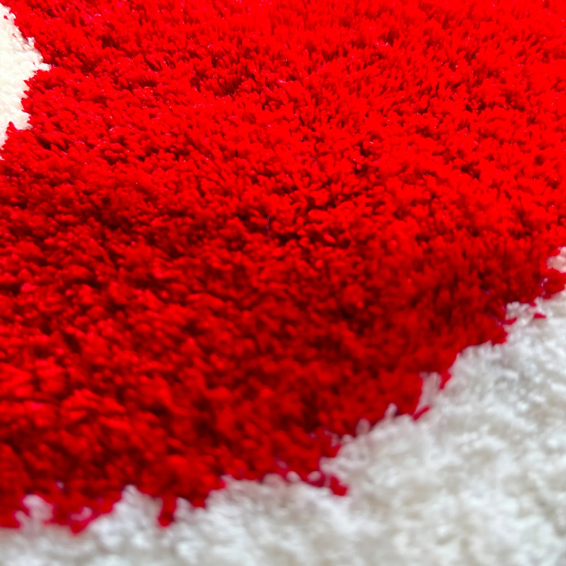 The Rogue Ninja's Rug